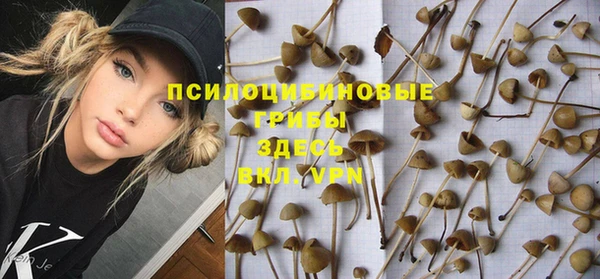 марки nbome Беломорск