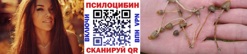 Галлюциногенные грибы MAGIC MUSHROOMS  Вязьма 